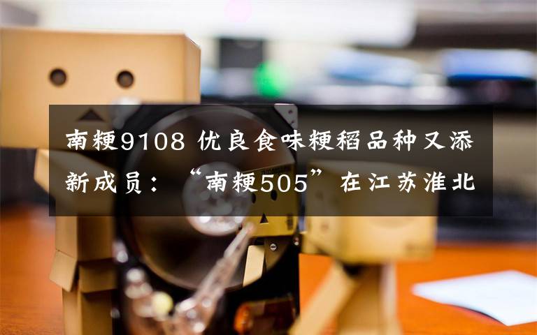 南粳9108 優(yōu)良食味粳稻品種又添新成員：“南粳505”在江蘇淮北地區(qū)開始推廣