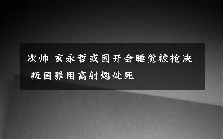 次帥 玄永哲或因開會(huì)睡覺被槍決 叛國罪用高射炮處死