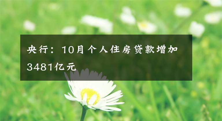 央行：10月個(gè)人住房貸款增加3481億元