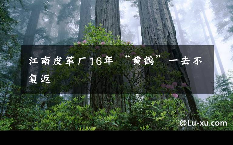 江南皮革廠16年 “黃鶴”一去不復返