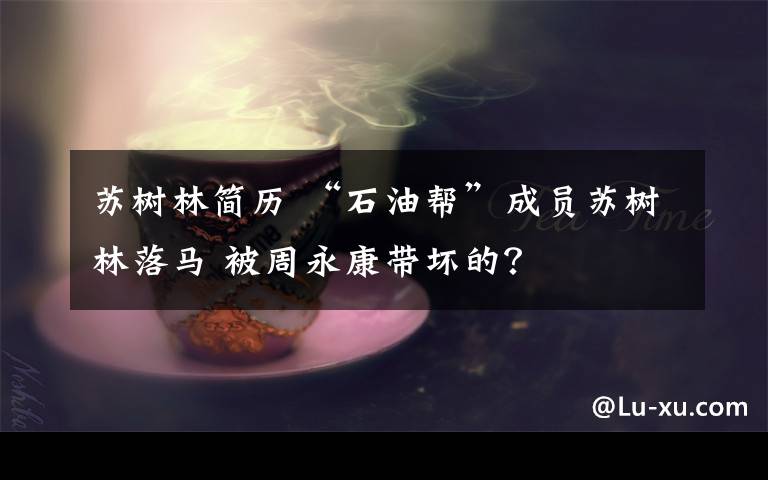 蘇樹林簡歷 “石油幫”成員蘇樹林落馬 被周永康帶壞的？