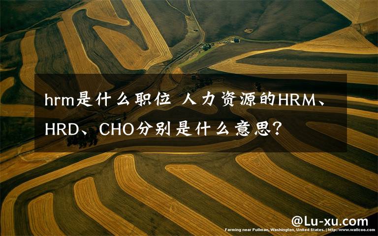 hrm是什么職位 人力資源的HRM、HRD、CHO分別是什么意思？