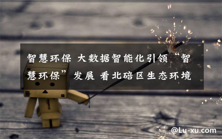 智慧環(huán)保 大數(shù)據(jù)智能化引領(lǐng)“智慧環(huán)?！卑l(fā)展 看北碚區(qū)生態(tài)環(huán)境工作有哪些“黑科技”