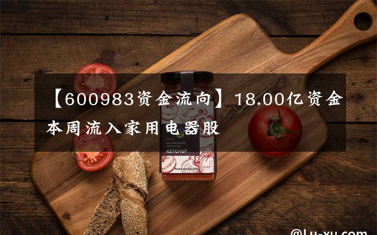 【600983資金流向】18.00億資金本周流入家用電器股