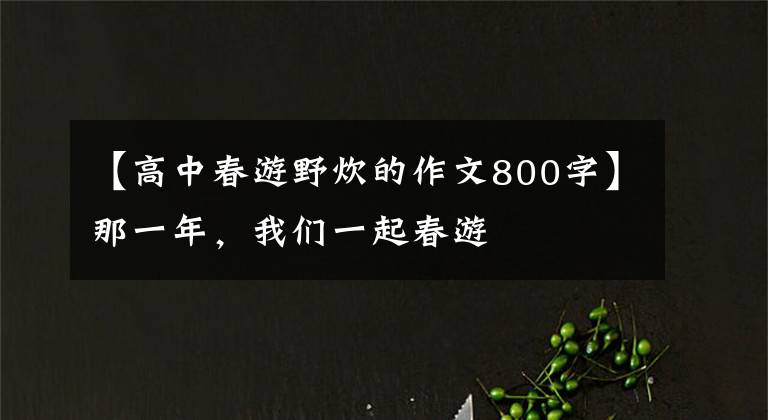 【高中春游野炊的作文800字】那一年，我們一起春游