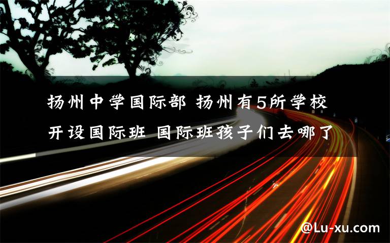 揚州中學國際部 揚州有5所學校開設國際班 國際班孩子們去哪了？