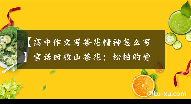 【高中作文寫茶花精神怎么寫】官話回收山茶花：松柏的骨頭，戴著桃子和瑪麗的姿態(tài)