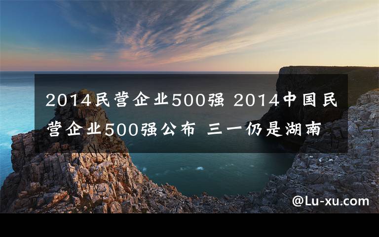 2014民營企業(yè)500強 2014中國民營企業(yè)500強公布 三一仍是湖南領(lǐng)頭羊