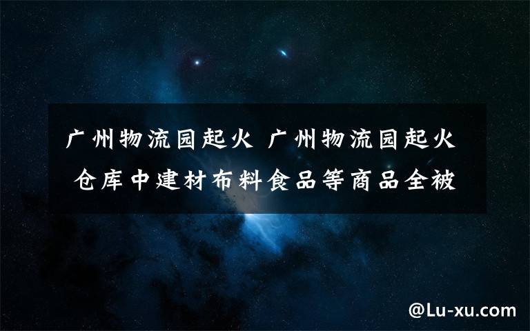 廣州物流園起火 廣州物流園起火 倉庫中建材布料食品等商品全被燒毀