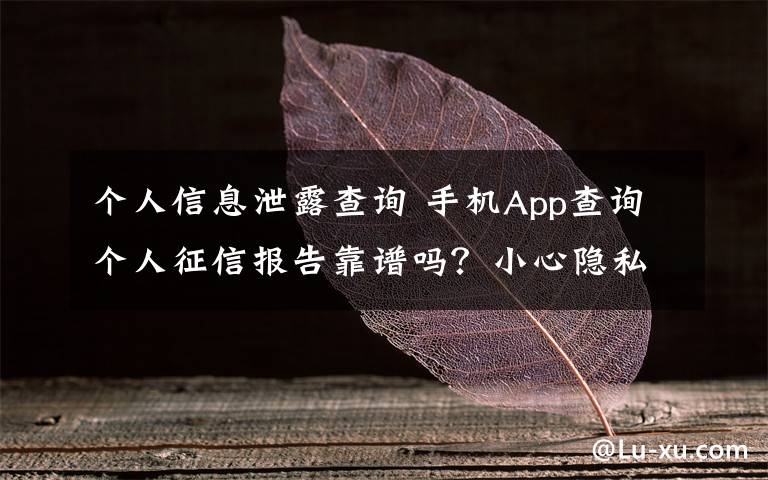 個人信息泄露查詢 手機App查詢個人征信報告靠譜嗎？小心隱私泄露