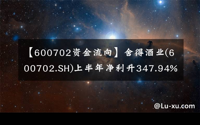 【600702資金流向】舍得酒業(yè)(600702.SH)上半年凈利升347.94%至7.35億元 經(jīng)營(yíng)性現(xiàn)金流大幅轉(zhuǎn)正