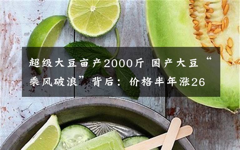 超級大豆畝產2000斤 國產大豆“乘風破浪”背后：價格半年漲26% 加工企業(yè)臨生死時速