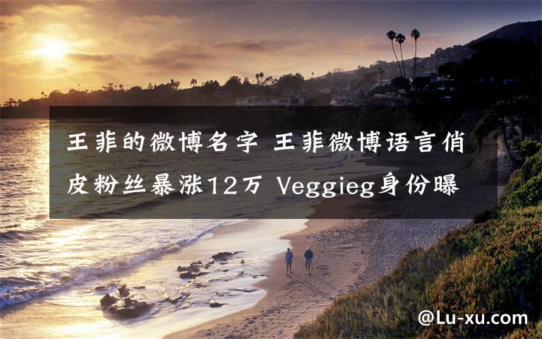 王菲的微博名字 王菲微博語言俏皮粉絲暴漲12萬 Veggieg身份曝光