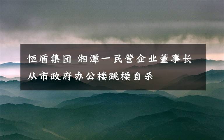 恒盾集團 湘潭一民營企業(yè)董事長從市政府辦公樓跳樓自殺