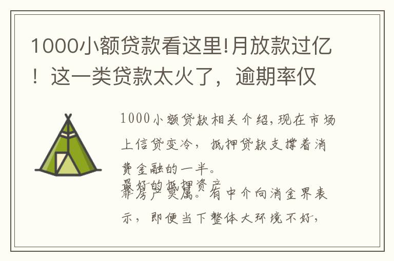 1000小額貸款看這里!月放款過億！這一類貸款太火了，逾期率僅1%