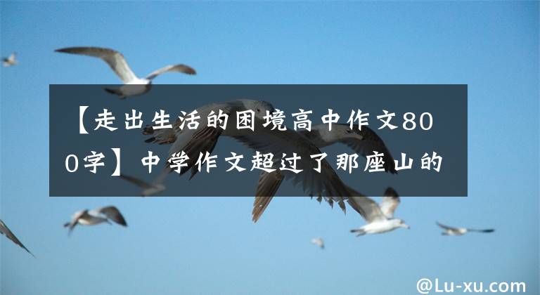 【走出生活的困境高中作文800字】中學(xué)作文超過(guò)了那座山的800字