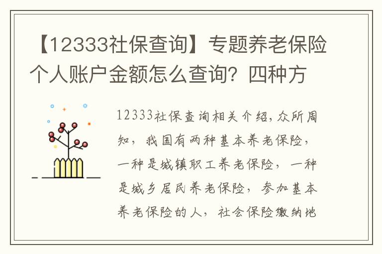 【12333社保查詢】專題養(yǎng)老保險個人賬戶金額怎么查詢？四種方式告訴你