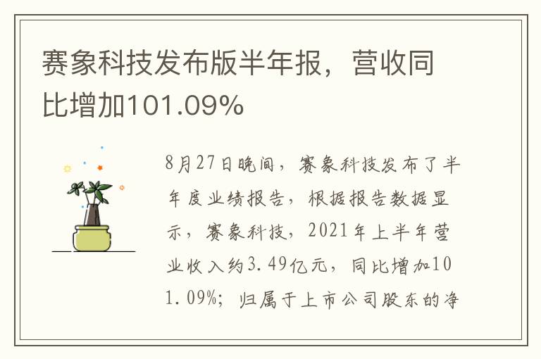 賽象科技發(fā)布版半年報(bào)，營收同比增加101.09%