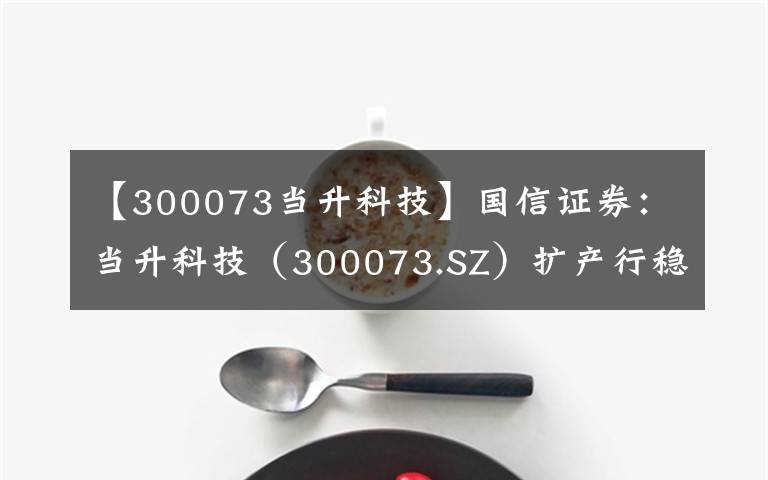 【300073當升科技】國信證券：當升科技（300073.SZ）擴產行穩(wěn)致遠，尋求高質量發(fā)展，維持“買入”評級