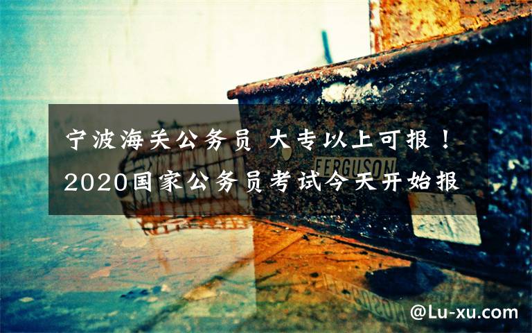 寧波海關(guān)公務(wù)員 大專以上可報！2020國家公務(wù)員考試今天開始報名！涉寧波崗位有這些……