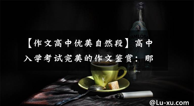 【作文高中優(yōu)美自然段】高中入學考試完美的作文鑒賞：那天，陽光真的很好