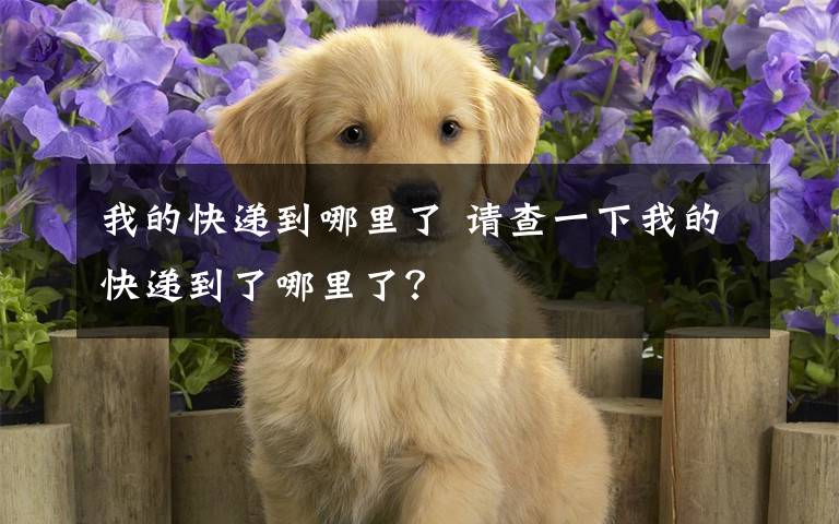 我的快遞到哪里了 請(qǐng)查一下我的快遞到了哪里了？