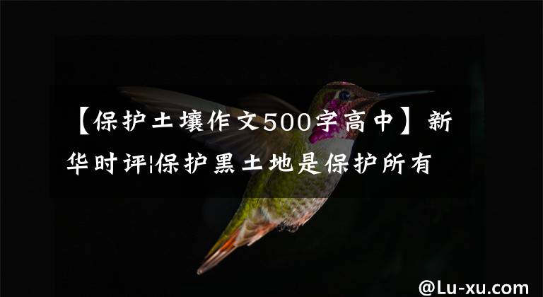 【保護(hù)土壤作文500字高中】新華時(shí)評(píng)|保護(hù)黑土地是保護(hù)所有人的飯碗