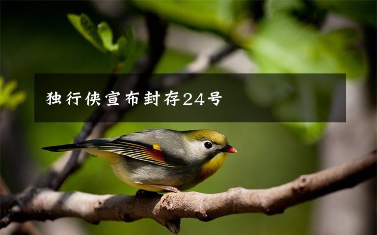 獨(dú)行俠宣布封存24號(hào)