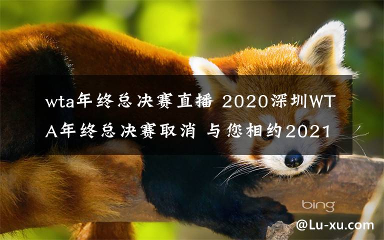 wta年終總決賽直播 2020深圳WTA年終總決賽取消 與您相約2021見證更精彩