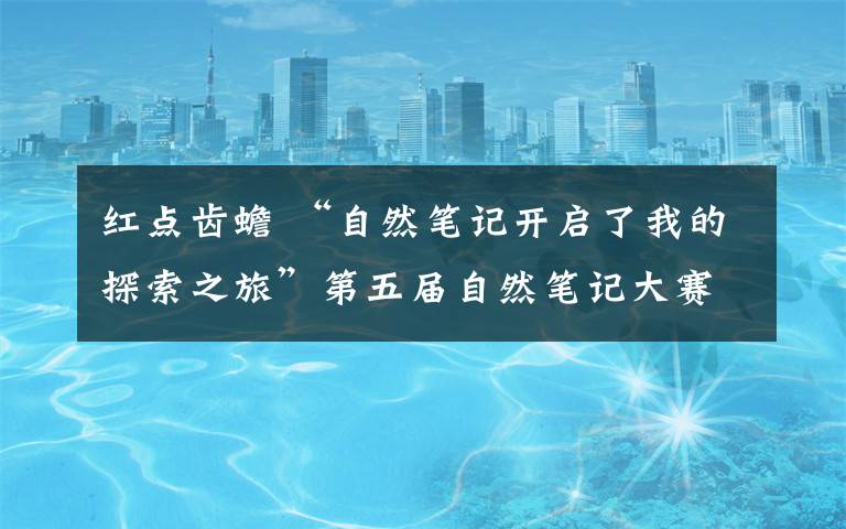 紅點齒蟾 “自然筆記開啟了我的探索之旅”第五屆自然筆記大賽頒獎