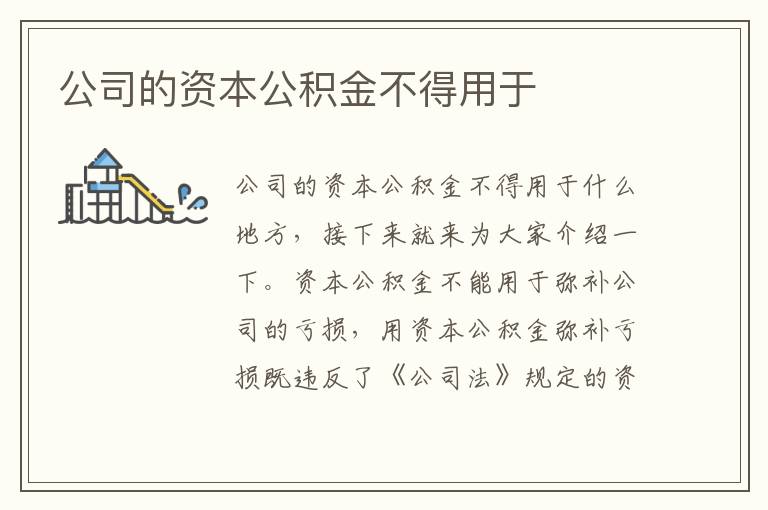 公司的資本公積金不得用于