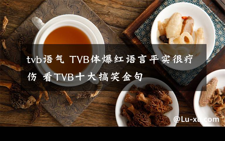 tvb語(yǔ)氣 TVB體爆紅語(yǔ)言平實(shí)很療傷 看TVB十大搞笑金句