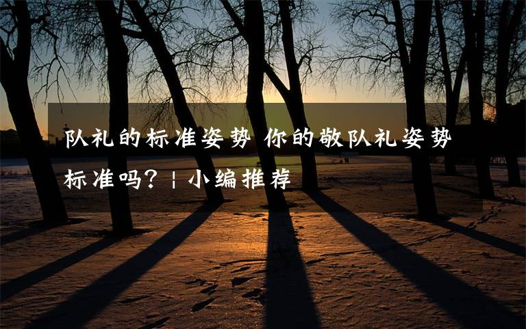 隊(duì)禮的標(biāo)準(zhǔn)姿勢 你的敬隊(duì)禮姿勢標(biāo)準(zhǔn)嗎？| 小編推薦