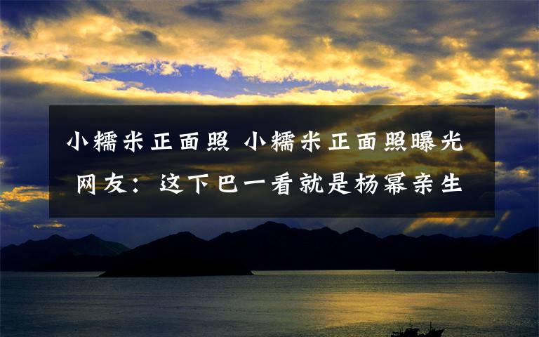 小糯米正面照 小糯米正面照曝光 網(wǎng)友：這下巴一看就是楊冪親生的