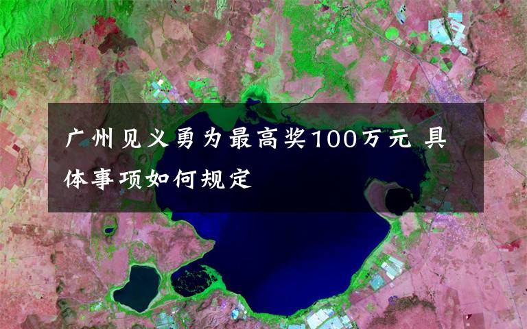 廣州見義勇為最高獎100萬元 具體事項如何規(guī)定