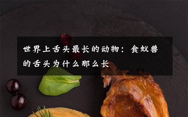 世界上舌頭最長的動(dòng)物：食蟻獸的舌頭為什么那么長