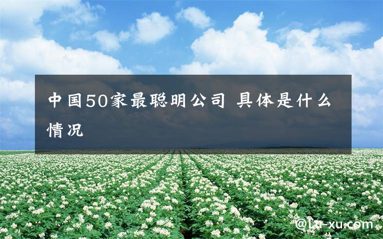 中國50家最聰明公司 具體是什么情況