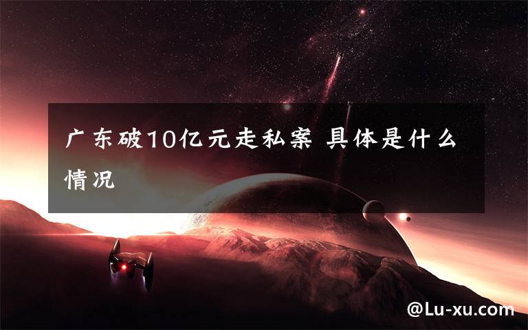 廣東破10億元走私案 具體是什么情況