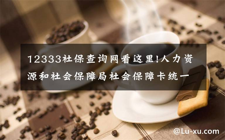 12333社保查詢網(wǎng)看這里!人力資源和社會(huì)保障局社會(huì)保障卡統(tǒng)一信息服務(wù)平臺(tái)