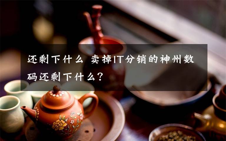 還剩下什么 賣掉IT分銷的神州數(shù)碼還剩下什么？