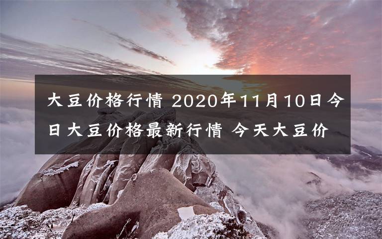 大豆價格行情 2020年11月10日今日大豆價格最新行情 今天大豆價格一覽表