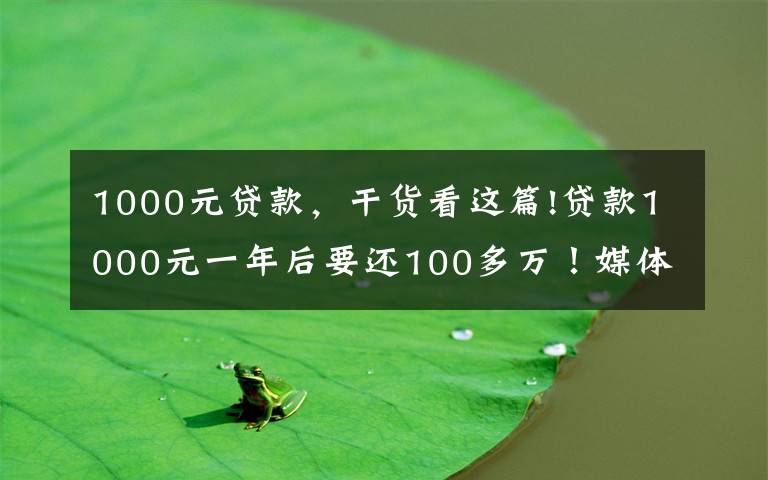 1000元貸款，干貨看這篇!貸款1000元一年后要還100多萬！媒體揭秘套路貸