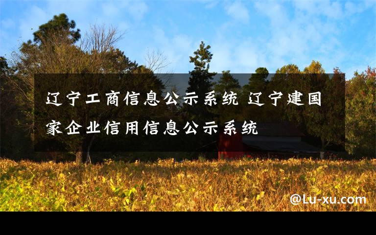 遼寧工商信息公示系統(tǒng) 遼寧建國(guó)家企業(yè)信用信息公示系統(tǒng)