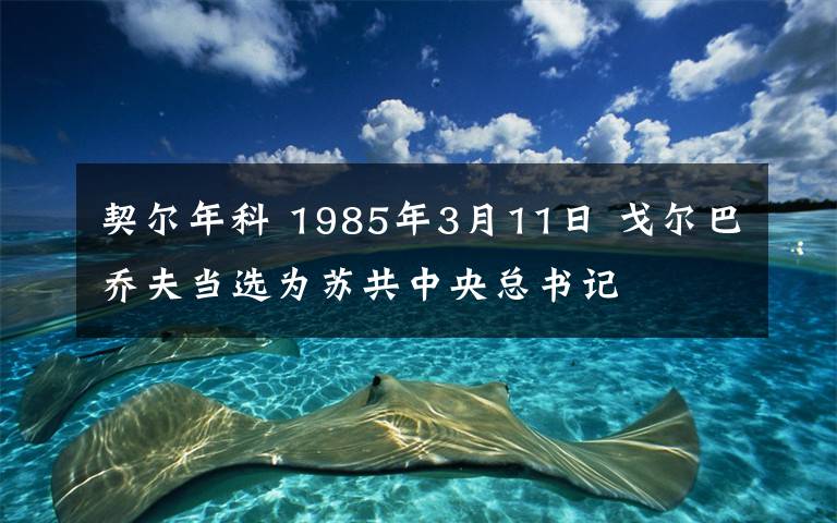 契爾年科 1985年3月11日 戈爾巴喬夫當(dāng)選為蘇共中央總書記