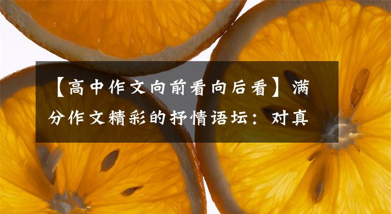 【高中作文向前看向后看】滿分作文精彩的抒情語(yǔ)壇：對(duì)真理的追求比對(duì)真理的占有更寶貴