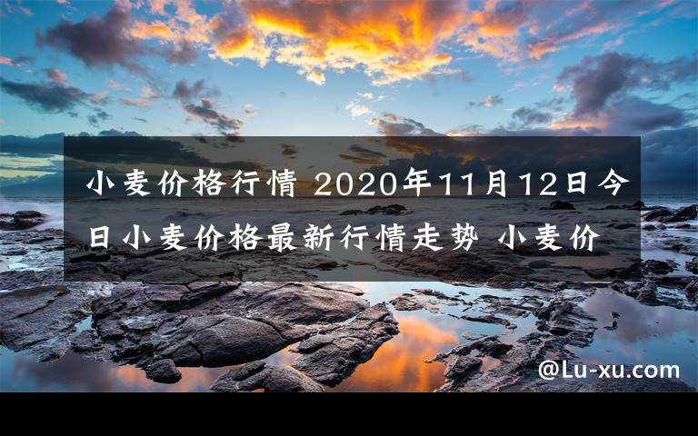 小麥價格行情 2020年11月12日今日小麥價格最新行情走勢 小麥價格一覽表