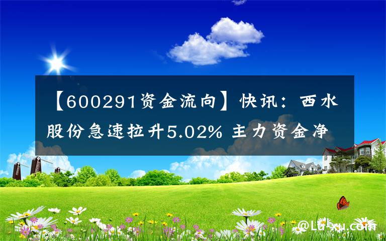 【600291資金流向】快訊：西水股份急速拉升5.02% 主力資金凈流出178.70萬(wàn)元