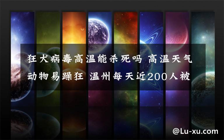 狂犬病毒高溫能殺死嗎 高溫天氣動物易躁狂 溫州每天近200人被傷就診