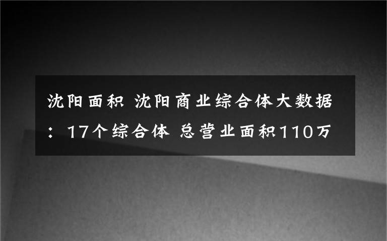 沈陽(yáng)面積 沈陽(yáng)商業(yè)綜合體大數(shù)據(jù)：17個(gè)綜合體 總營(yíng)業(yè)面積110萬(wàn)方