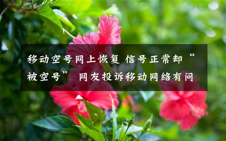 移動空號網(wǎng)上恢復(fù) 信號正常卻“被空號” 網(wǎng)友投訴移動網(wǎng)絡(luò)有問題